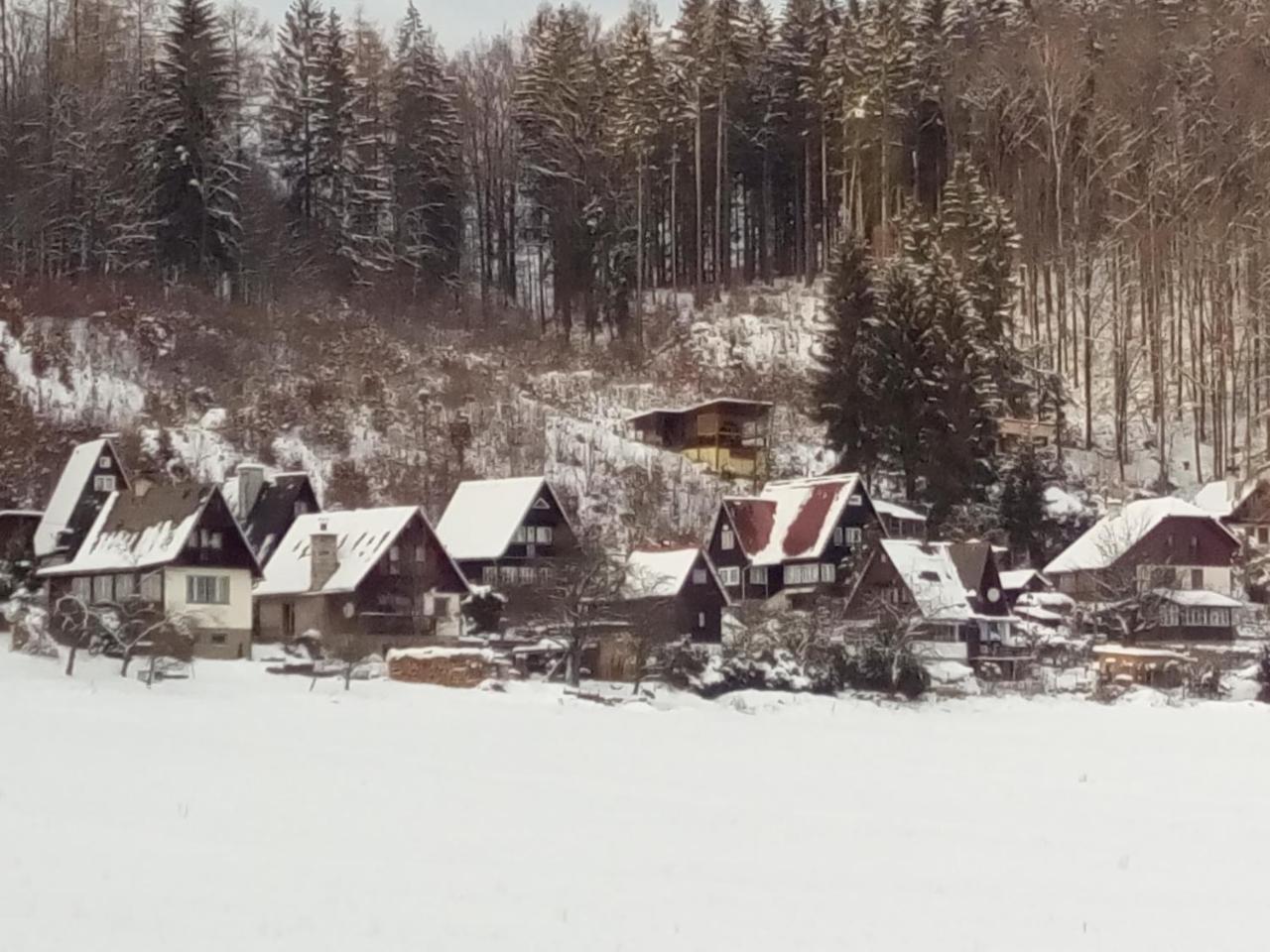 Vila U Sovy Rapotín Exteriér fotografie